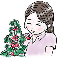 ステナブルな暮らし